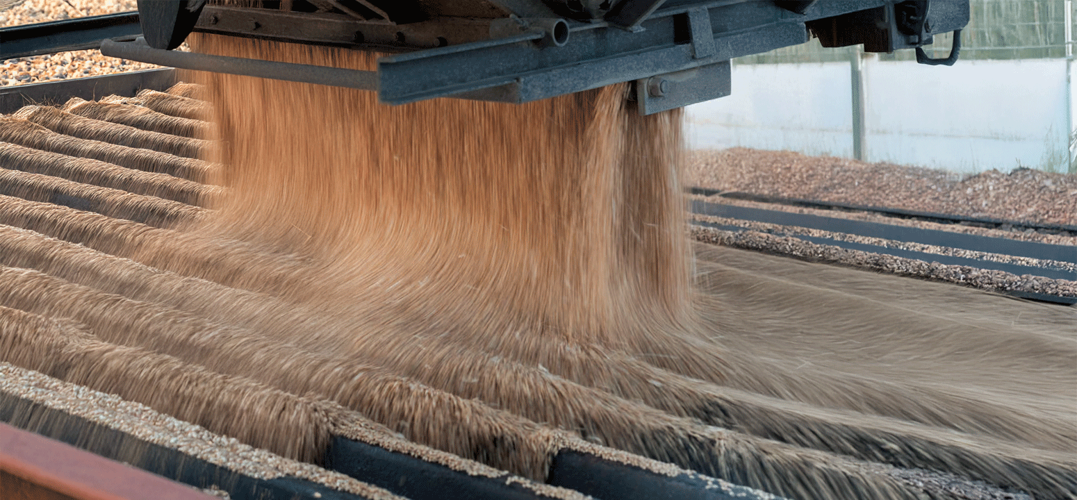 Aspectos clave a considerar en los recubrimientos para vagones ferroviarios en contacto con alimentos