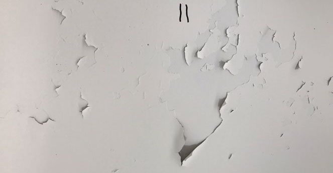 Ilustración del artículo: La pintura nueva no se quedó "estacionada."
