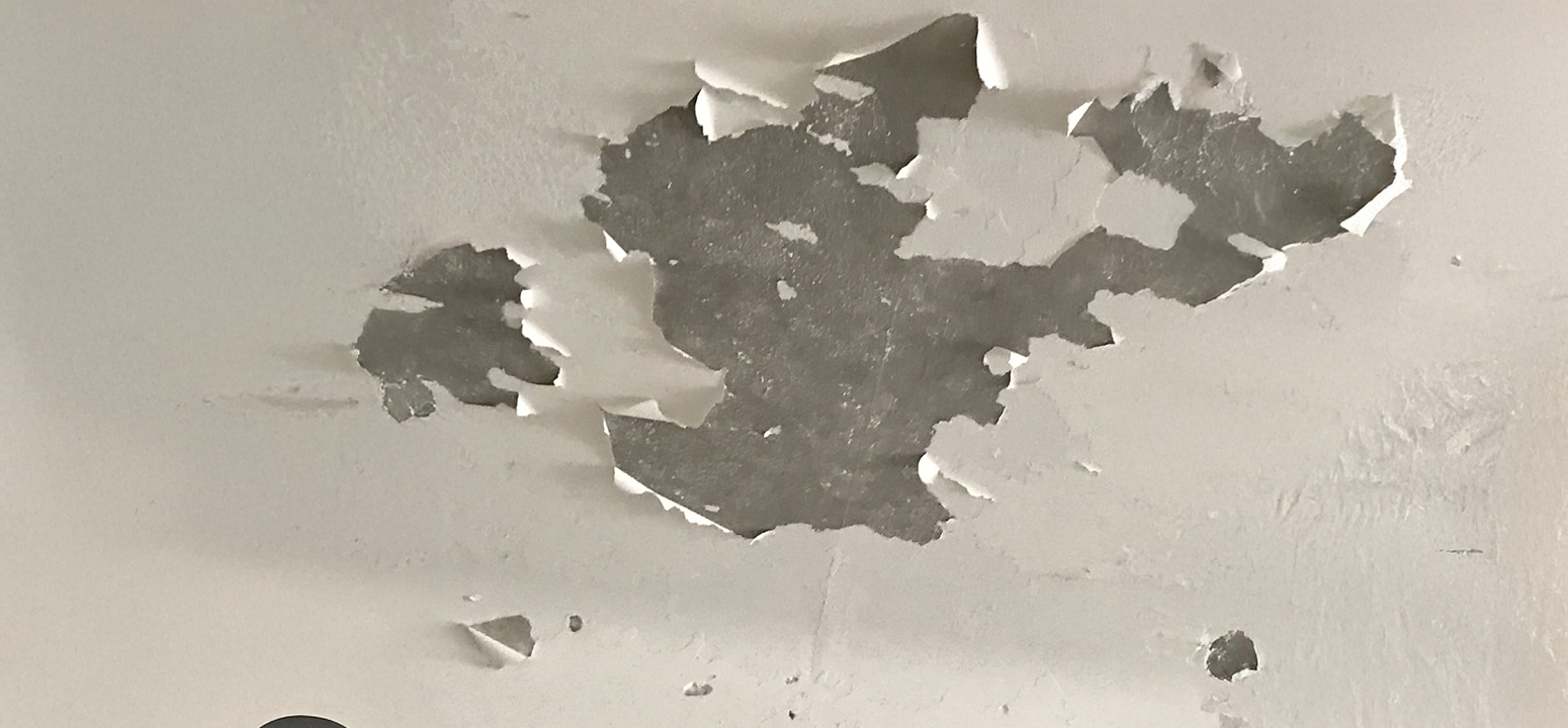 La pintura nueva no se quedó «estacionada.»